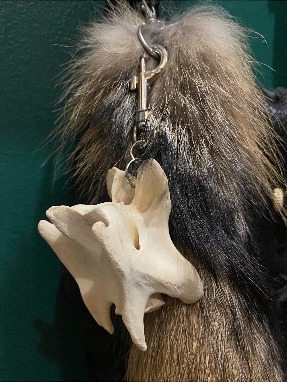 Deer Vertebrae Bone Keychain